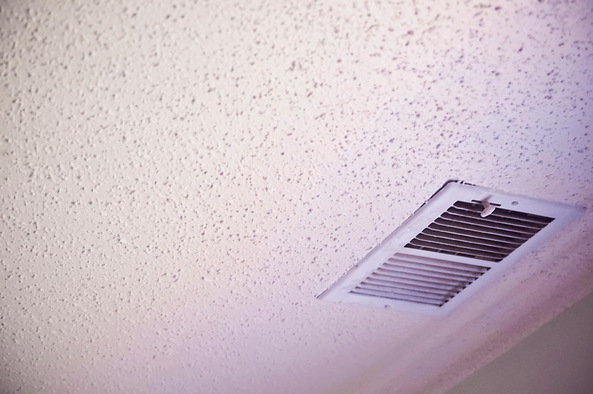 Asbestos removal